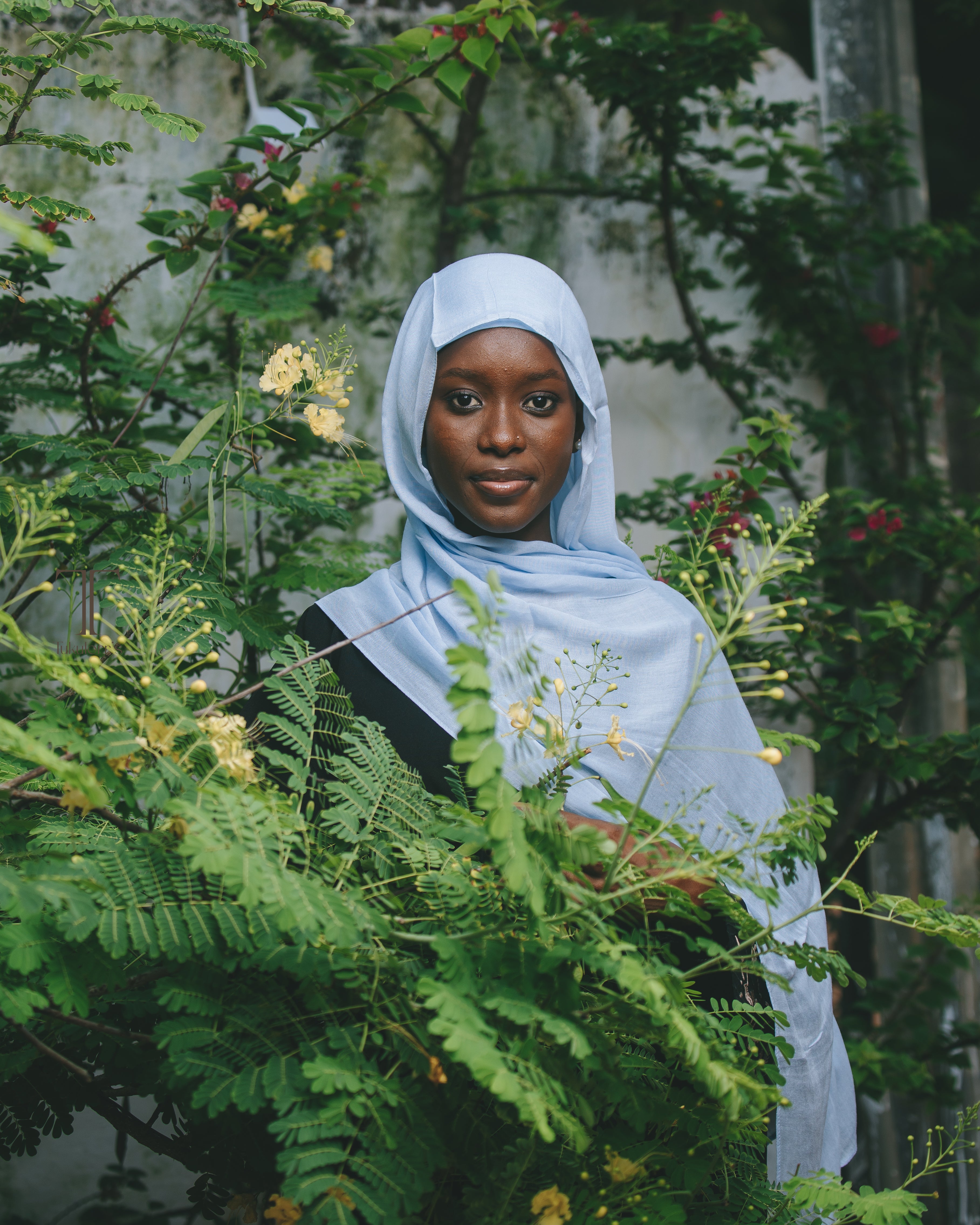 Blue Dream - Premium modal hijab (with undercap)